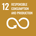 12. Responsible Consumption And Production